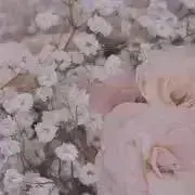 2の画像