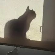 モンエナ
