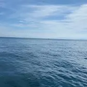 あっきー