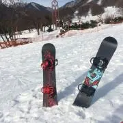断捨離中バロテッリの画像