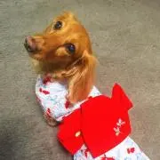 まつこの画像