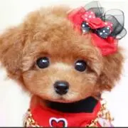 あーちゃん❤️の画像