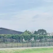 さやねぇの画像