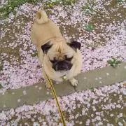 リョー