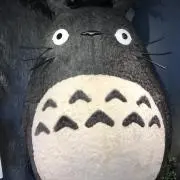 ☆☆☆