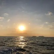 まちゃの画像