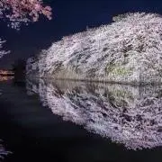 あっきー プロフ必読  断捨離中の画像