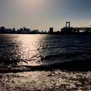 ナナの画像