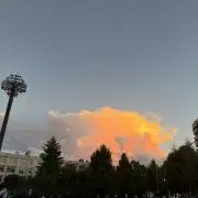 えりの画像