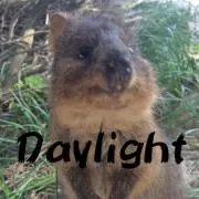 Daylight★の画像
