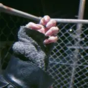 むしば