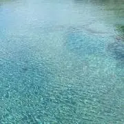 ysの画像