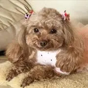 ロンロン