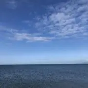 黒髪のシャンクスの画像