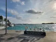 M☆の画像