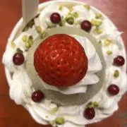 うめこの画像