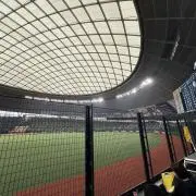 たややの画像