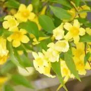 Kaz☆プロフ必読の画像