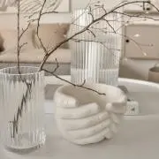AYの画像