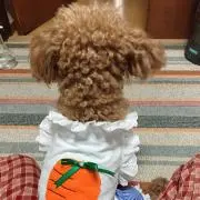 Christine(自己紹介確認必須)の画像