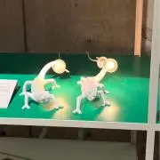 Fannieの画像