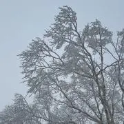 断捨離中！！の画像