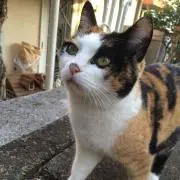りなん☺︎値下げ◎の画像
