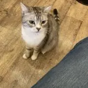 大森 カナル