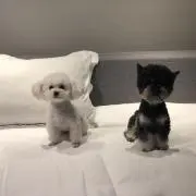 rinlove5554の画像