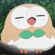 エグゼの画像