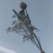 オバケの画像