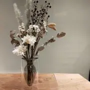 のらの画像