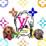 ちゃんみ