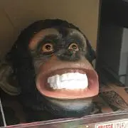たっきん