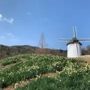 トッポの画像