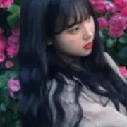 紫陽花の画像