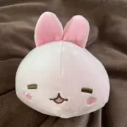 とまとの画像