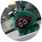 コムギの画像