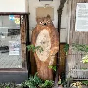 aaa＊＊紹介文確認お願いしますの画像