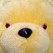 サミー