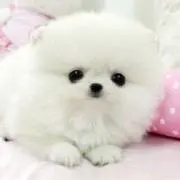 ⋈の画像
