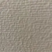 miaoの画像
