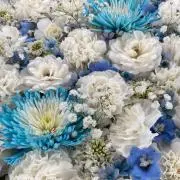 さや