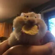 にこにこ 値下げ交渉○