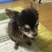 ★nable21★の画像