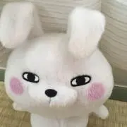 パンダカフェの画像