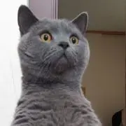 M.CAT☆★の画像