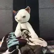 ちゃみぃ⑅◡̈*.｛プロフちら見してネ☆