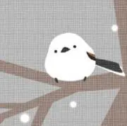 Cheveの画像