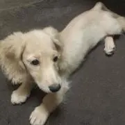 Y.K♪